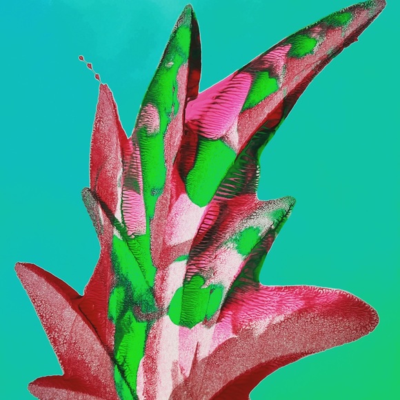 kafresco